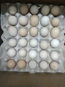 Desi/Nati Eggs