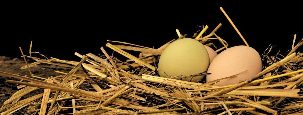 A detailed close-up shot of eggs in a straw nest, highlighting the natural textures.